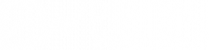 Digital_wonder_logo_blanc